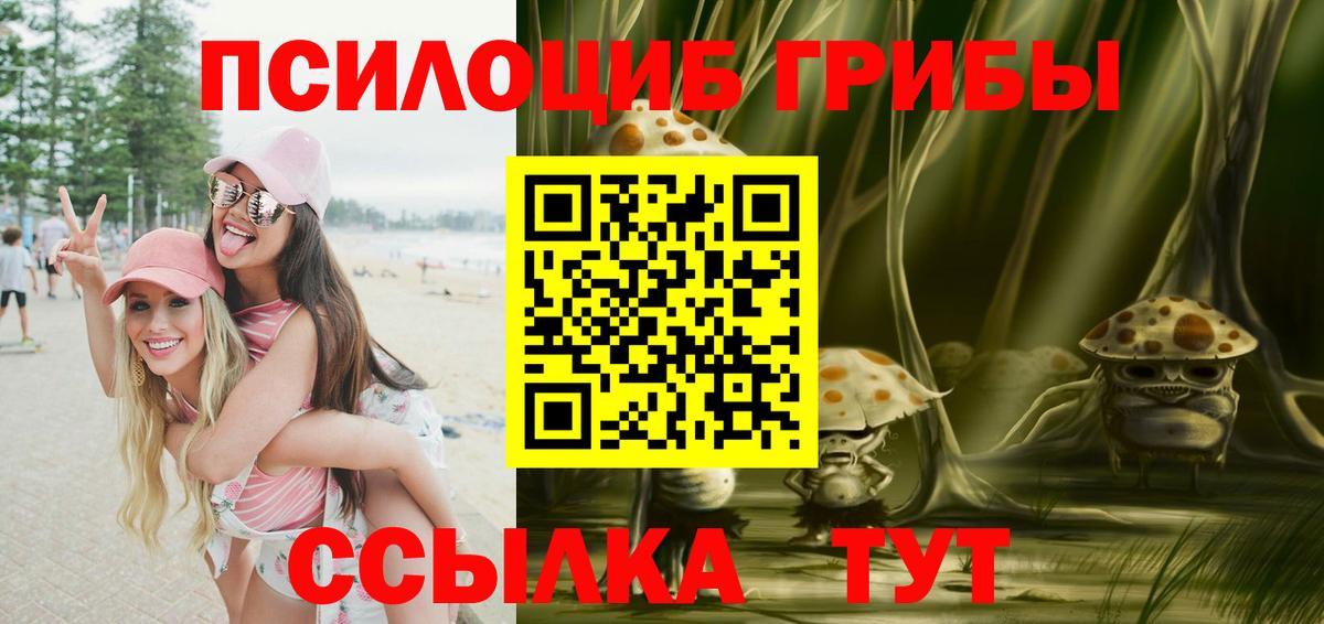Гай  Псилоцибиновые грибы прущие грибы  Вход с VPN 